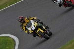 Motorcycle-action-photographs;Trackday-digital-images;cadwell;cadwell-park-photographs;event-digital-images;eventdigitalimages;motor-racing-louth-lincolnshire;no-limits-trackdays;peter-wileman-photography;trackday;trackday-photos