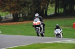 Motorcycle-action-photographs;Trackday-digital-images;cadwell;cadwell-park-photographs;event-digital-images;eventdigitalimages;motor-racing-louth-lincolnshire;no-limits-trackdays;peter-wileman-photography;trackday;trackday-photos