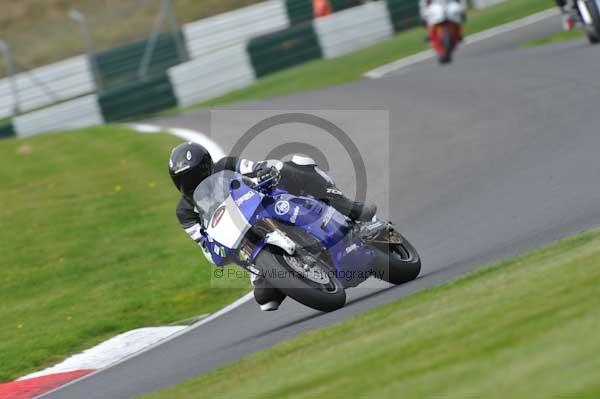 Motorcycle action photographs;Trackday digital images;cadwell;cadwell park photographs;event digital images;eventdigitalimages;motor racing louth lincolnshire;no limits trackdays;peter wileman photography;trackday;trackday photos