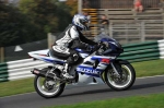 Motorcycle-action-photographs;Trackday-digital-images;cadwell;cadwell-park-photographs;event-digital-images;eventdigitalimages;motor-racing-louth-lincolnshire;no-limits-trackdays;peter-wileman-photography;trackday;trackday-photos