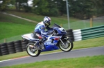 Motorcycle-action-photographs;Trackday-digital-images;cadwell;cadwell-park-photographs;event-digital-images;eventdigitalimages;motor-racing-louth-lincolnshire;no-limits-trackdays;peter-wileman-photography;trackday;trackday-photos