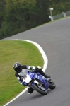 Motorcycle-action-photographs;Trackday-digital-images;cadwell;cadwell-park-photographs;event-digital-images;eventdigitalimages;motor-racing-louth-lincolnshire;no-limits-trackdays;peter-wileman-photography;trackday;trackday-photos