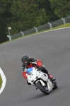 Motorcycle-action-photographs;Trackday-digital-images;cadwell;cadwell-park-photographs;event-digital-images;eventdigitalimages;motor-racing-louth-lincolnshire;no-limits-trackdays;peter-wileman-photography;trackday;trackday-photos