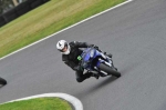 Motorcycle-action-photographs;Trackday-digital-images;cadwell;cadwell-park-photographs;event-digital-images;eventdigitalimages;motor-racing-louth-lincolnshire;no-limits-trackdays;peter-wileman-photography;trackday;trackday-photos