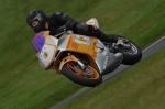 Motorcycle-action-photographs;Trackday-digital-images;cadwell;cadwell-park-photographs;event-digital-images;eventdigitalimages;motor-racing-louth-lincolnshire;no-limits-trackdays;peter-wileman-photography;trackday;trackday-photos
