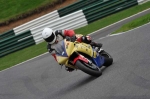 Motorcycle-action-photographs;Trackday-digital-images;cadwell;cadwell-park-photographs;event-digital-images;eventdigitalimages;motor-racing-louth-lincolnshire;no-limits-trackdays;peter-wileman-photography;trackday;trackday-photos
