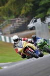 Motorcycle-action-photographs;Trackday-digital-images;cadwell;cadwell-park-photographs;event-digital-images;eventdigitalimages;motor-racing-louth-lincolnshire;no-limits-trackdays;peter-wileman-photography;trackday;trackday-photos