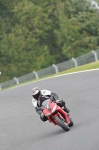 Motorcycle-action-photographs;Trackday-digital-images;cadwell;cadwell-park-photographs;event-digital-images;eventdigitalimages;motor-racing-louth-lincolnshire;no-limits-trackdays;peter-wileman-photography;trackday;trackday-photos