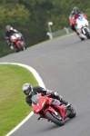 Motorcycle-action-photographs;Trackday-digital-images;cadwell;cadwell-park-photographs;event-digital-images;eventdigitalimages;motor-racing-louth-lincolnshire;no-limits-trackdays;peter-wileman-photography;trackday;trackday-photos