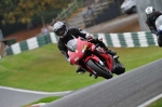 Motorcycle-action-photographs;Trackday-digital-images;cadwell;cadwell-park-photographs;event-digital-images;eventdigitalimages;motor-racing-louth-lincolnshire;no-limits-trackdays;peter-wileman-photography;trackday;trackday-photos
