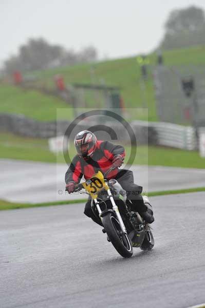 Motorcycle action photographs;Trackday digital images;event digital images;eventdigitalimages;no limits trackday;oulton park;oulton park circuit cheshire;oulton park photographs;peter wileman photography;trackday;trackday photos