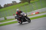 Motorcycle-action-photographs;Trackday-digital-images;event-digital-images;eventdigitalimages;no-limits-trackday;oulton-park;oulton-park-circuit-cheshire;oulton-park-photographs;peter-wileman-photography;trackday;trackday-photos