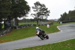 Motorcycle-action-photographs;Trackday-digital-images;event-digital-images;eventdigitalimages;no-limits-trackday;oulton-park;oulton-park-circuit-cheshire;oulton-park-photographs;peter-wileman-photography;trackday;trackday-photos