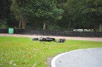 Motorcycle-action-photographs;Trackday-digital-images;event-digital-images;eventdigitalimages;no-limits-trackday;oulton-park;oulton-park-circuit-cheshire;oulton-park-photographs;peter-wileman-photography;trackday;trackday-photos