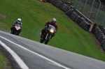Motorcycle-action-photographs;Trackday-digital-images;event-digital-images;eventdigitalimages;no-limits-trackday;oulton-park;oulton-park-circuit-cheshire;oulton-park-photographs;peter-wileman-photography;trackday;trackday-photos
