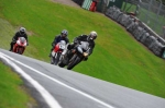 Motorcycle-action-photographs;Trackday-digital-images;event-digital-images;eventdigitalimages;no-limits-trackday;oulton-park;oulton-park-circuit-cheshire;oulton-park-photographs;peter-wileman-photography;trackday;trackday-photos