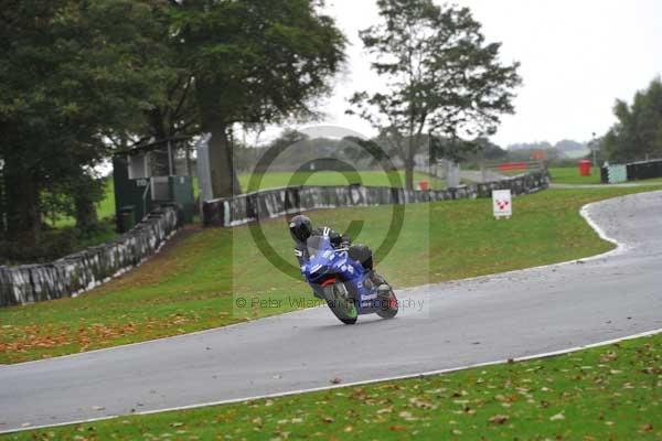 Motorcycle action photographs;Trackday digital images;event digital images;eventdigitalimages;no limits trackday;oulton park;oulton park circuit cheshire;oulton park photographs;peter wileman photography;trackday;trackday photos
