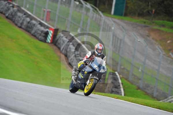 Motorcycle action photographs;Trackday digital images;event digital images;eventdigitalimages;no limits trackday;oulton park;oulton park circuit cheshire;oulton park photographs;peter wileman photography;trackday;trackday photos