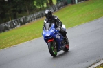 Motorcycle-action-photographs;Trackday-digital-images;event-digital-images;eventdigitalimages;no-limits-trackday;oulton-park;oulton-park-circuit-cheshire;oulton-park-photographs;peter-wileman-photography;trackday;trackday-photos