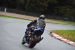 Motorcycle-action-photographs;Trackday-digital-images;event-digital-images;eventdigitalimages;no-limits-trackday;oulton-park;oulton-park-circuit-cheshire;oulton-park-photographs;peter-wileman-photography;trackday;trackday-photos