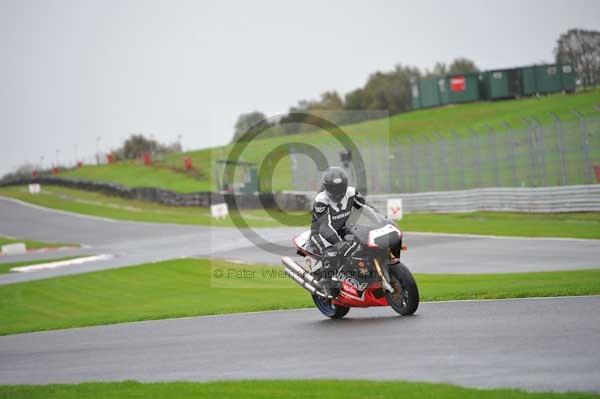 Motorcycle action photographs;Trackday digital images;event digital images;eventdigitalimages;no limits trackday;oulton park;oulton park circuit cheshire;oulton park photographs;peter wileman photography;trackday;trackday photos