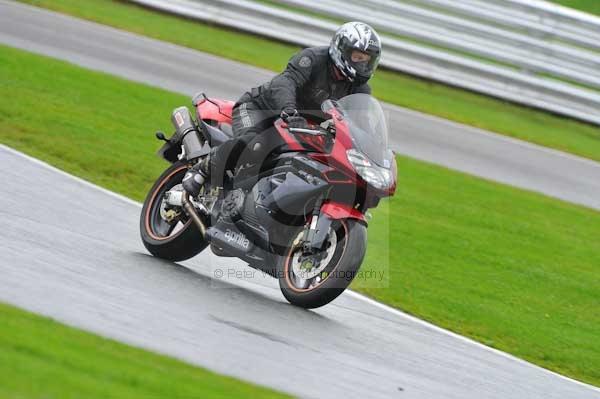 Motorcycle action photographs;Trackday digital images;event digital images;eventdigitalimages;no limits trackday;oulton park;oulton park circuit cheshire;oulton park photographs;peter wileman photography;trackday;trackday photos