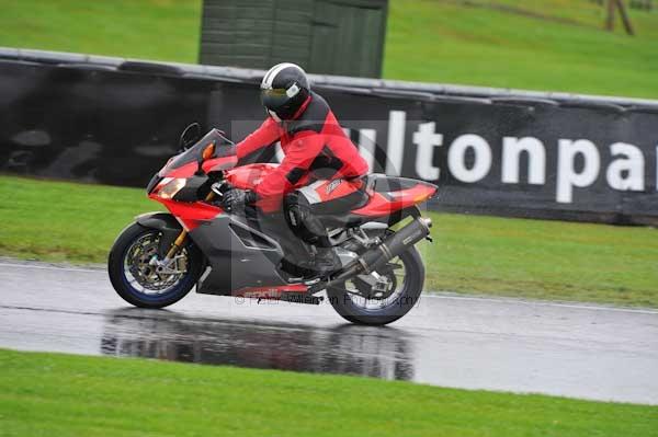 Motorcycle action photographs;Trackday digital images;event digital images;eventdigitalimages;no limits trackday;oulton park;oulton park circuit cheshire;oulton park photographs;peter wileman photography;trackday;trackday photos