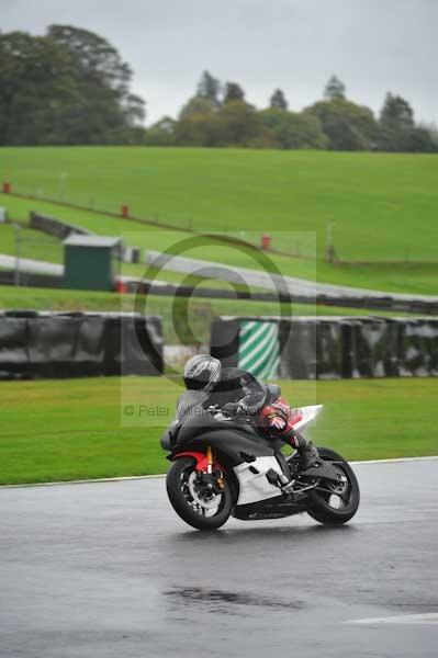 Motorcycle action photographs;Trackday digital images;event digital images;eventdigitalimages;no limits trackday;oulton park;oulton park circuit cheshire;oulton park photographs;peter wileman photography;trackday;trackday photos