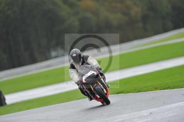 Motorcycle action photographs;Trackday digital images;event digital images;eventdigitalimages;no limits trackday;oulton park;oulton park circuit cheshire;oulton park photographs;peter wileman photography;trackday;trackday photos