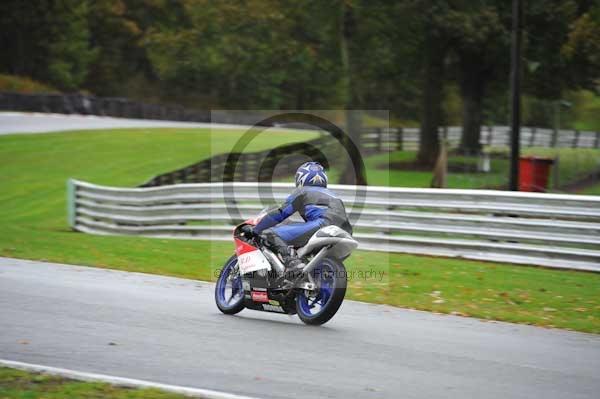 Motorcycle action photographs;Trackday digital images;event digital images;eventdigitalimages;no limits trackday;oulton park;oulton park circuit cheshire;oulton park photographs;peter wileman photography;trackday;trackday photos