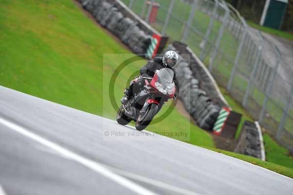 Motorcycle action photographs;Trackday digital images;event digital images;eventdigitalimages;no limits trackday;oulton park;oulton park circuit cheshire;oulton park photographs;peter wileman photography;trackday;trackday photos
