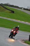 Motorcycle-action-photographs;Trackday-digital-images;event-digital-images;eventdigitalimages;no-limits-trackday;oulton-park;oulton-park-circuit-cheshire;oulton-park-photographs;peter-wileman-photography;trackday;trackday-photos