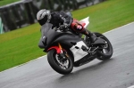 Motorcycle-action-photographs;Trackday-digital-images;event-digital-images;eventdigitalimages;no-limits-trackday;oulton-park;oulton-park-circuit-cheshire;oulton-park-photographs;peter-wileman-photography;trackday;trackday-photos