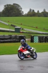 Motorcycle-action-photographs;Trackday-digital-images;event-digital-images;eventdigitalimages;no-limits-trackday;oulton-park;oulton-park-circuit-cheshire;oulton-park-photographs;peter-wileman-photography;trackday;trackday-photos
