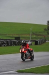 Motorcycle-action-photographs;Trackday-digital-images;event-digital-images;eventdigitalimages;no-limits-trackday;oulton-park;oulton-park-circuit-cheshire;oulton-park-photographs;peter-wileman-photography;trackday;trackday-photos