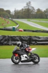 Motorcycle-action-photographs;Trackday-digital-images;event-digital-images;eventdigitalimages;no-limits-trackday;oulton-park;oulton-park-circuit-cheshire;oulton-park-photographs;peter-wileman-photography;trackday;trackday-photos
