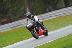 Motorcycle-action-photographs;Trackday-digital-images;event-digital-images;eventdigitalimages;no-limits-trackday;oulton-park;oulton-park-circuit-cheshire;oulton-park-photographs;peter-wileman-photography;trackday;trackday-photos