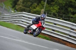 Motorcycle-action-photographs;Trackday-digital-images;event-digital-images;eventdigitalimages;no-limits-trackday;oulton-park;oulton-park-circuit-cheshire;oulton-park-photographs;peter-wileman-photography;trackday;trackday-photos