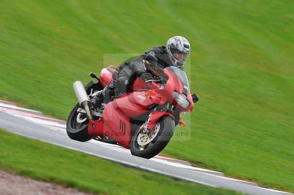Motorcycle action photographs;Trackday digital images;event digital images;eventdigitalimages;no limits trackday;oulton park;oulton park circuit cheshire;oulton park photographs;peter wileman photography;trackday;trackday photos