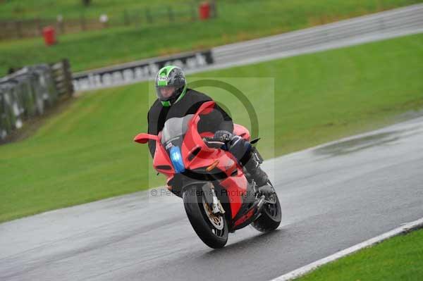 Motorcycle action photographs;Trackday digital images;event digital images;eventdigitalimages;no limits trackday;oulton park;oulton park circuit cheshire;oulton park photographs;peter wileman photography;trackday;trackday photos