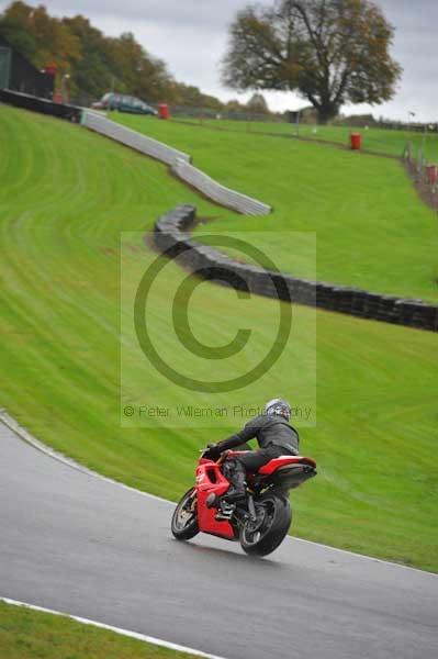Motorcycle action photographs;Trackday digital images;event digital images;eventdigitalimages;no limits trackday;oulton park;oulton park circuit cheshire;oulton park photographs;peter wileman photography;trackday;trackday photos