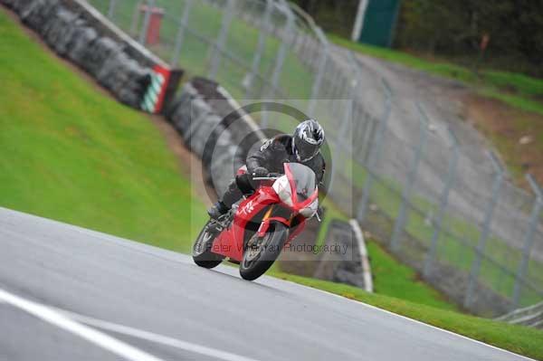 Motorcycle action photographs;Trackday digital images;event digital images;eventdigitalimages;no limits trackday;oulton park;oulton park circuit cheshire;oulton park photographs;peter wileman photography;trackday;trackday photos