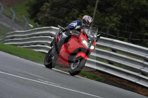 Motorcycle action photographs;Trackday digital images;event digital images;eventdigitalimages;no limits trackday;oulton park;oulton park circuit cheshire;oulton park photographs;peter wileman photography;trackday;trackday photos