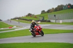 Motorcycle-action-photographs;Trackday-digital-images;event-digital-images;eventdigitalimages;no-limits-trackday;oulton-park;oulton-park-circuit-cheshire;oulton-park-photographs;peter-wileman-photography;trackday;trackday-photos