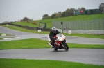 Motorcycle-action-photographs;Trackday-digital-images;event-digital-images;eventdigitalimages;no-limits-trackday;oulton-park;oulton-park-circuit-cheshire;oulton-park-photographs;peter-wileman-photography;trackday;trackday-photos