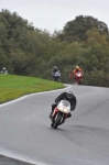 Motorcycle-action-photographs;Trackday-digital-images;event-digital-images;eventdigitalimages;no-limits-trackday;oulton-park;oulton-park-circuit-cheshire;oulton-park-photographs;peter-wileman-photography;trackday;trackday-photos
