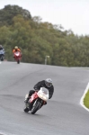 Motorcycle-action-photographs;Trackday-digital-images;event-digital-images;eventdigitalimages;no-limits-trackday;oulton-park;oulton-park-circuit-cheshire;oulton-park-photographs;peter-wileman-photography;trackday;trackday-photos