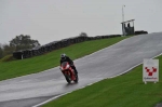 Motorcycle-action-photographs;Trackday-digital-images;event-digital-images;eventdigitalimages;no-limits-trackday;oulton-park;oulton-park-circuit-cheshire;oulton-park-photographs;peter-wileman-photography;trackday;trackday-photos