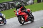Motorcycle-action-photographs;Trackday-digital-images;event-digital-images;eventdigitalimages;no-limits-trackday;oulton-park;oulton-park-circuit-cheshire;oulton-park-photographs;peter-wileman-photography;trackday;trackday-photos