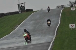 Motorcycle-action-photographs;Trackday-digital-images;event-digital-images;eventdigitalimages;no-limits-trackday;oulton-park;oulton-park-circuit-cheshire;oulton-park-photographs;peter-wileman-photography;trackday;trackday-photos